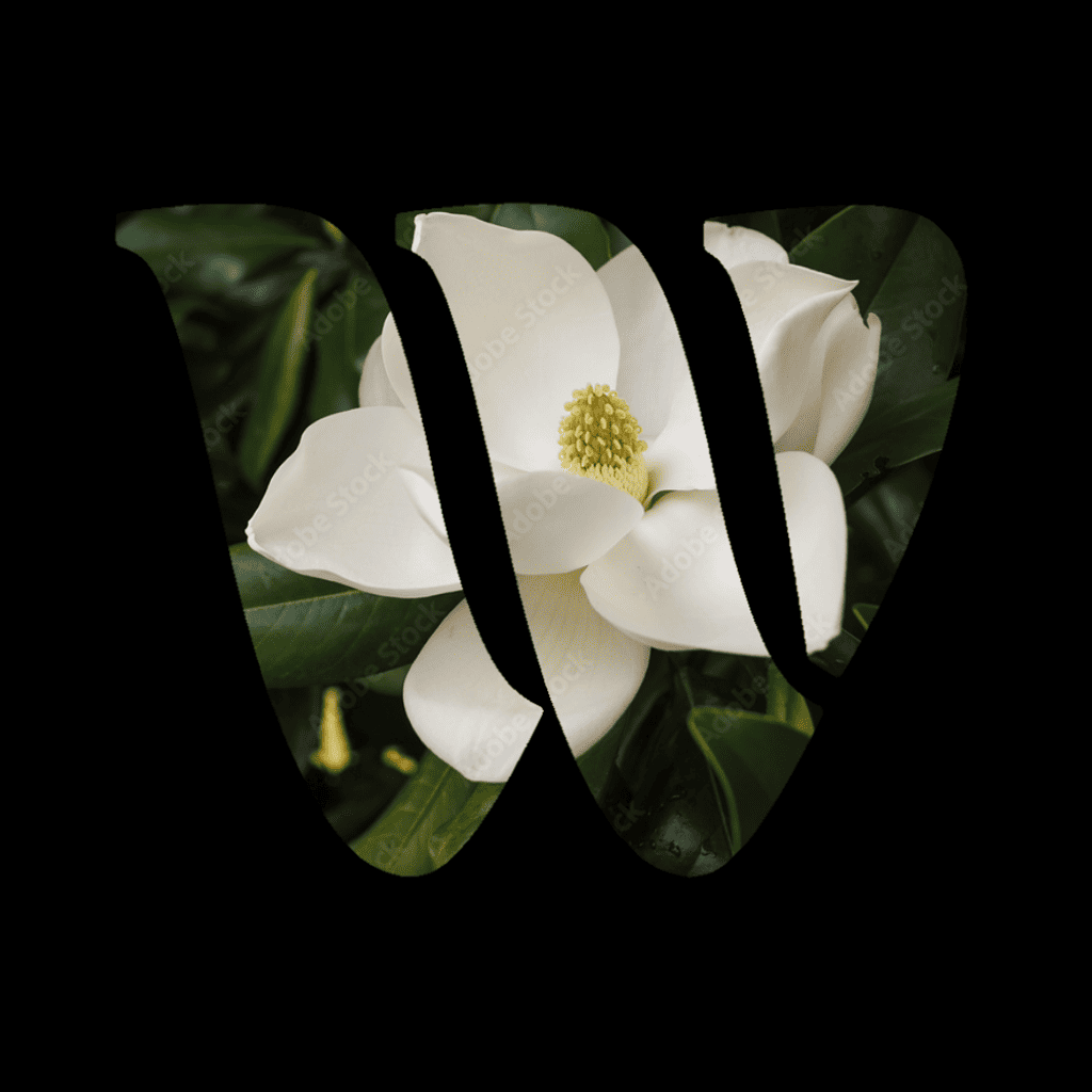 Magnolia