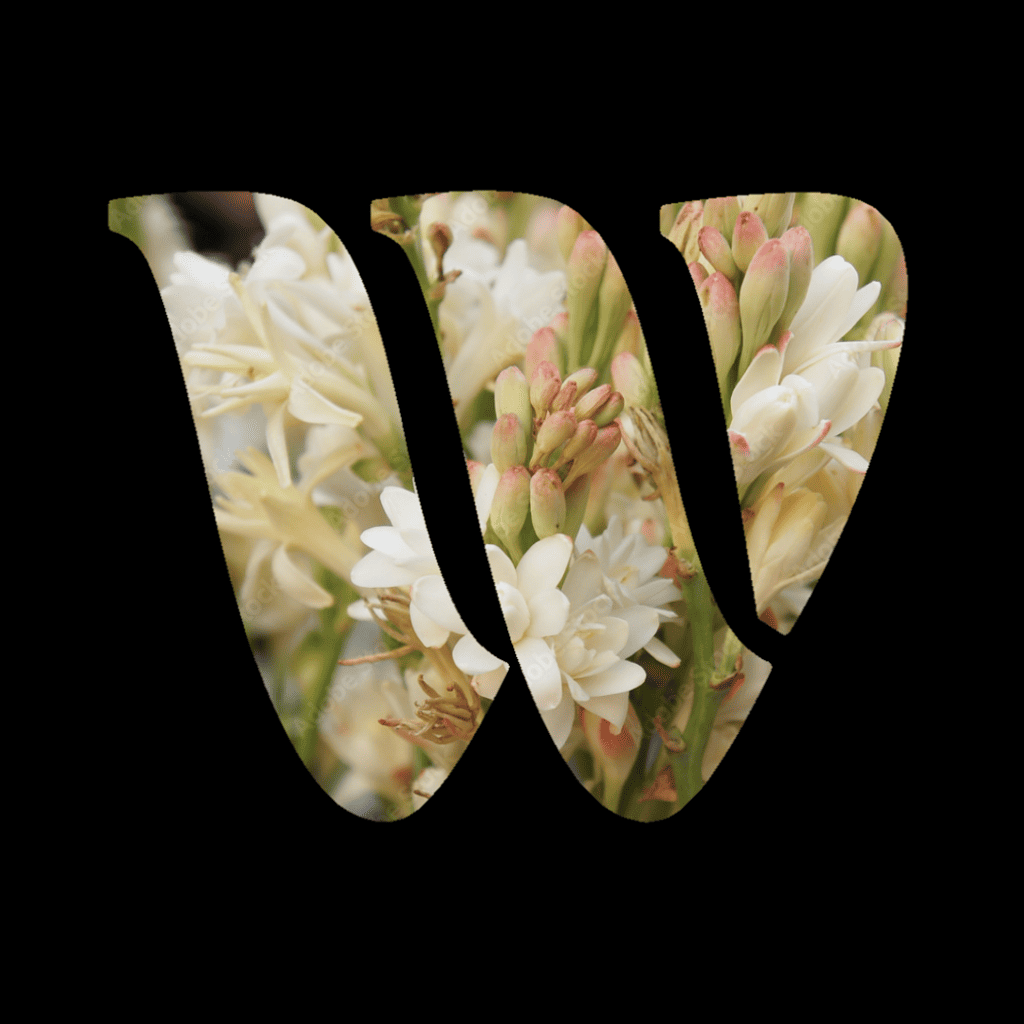Tuberose