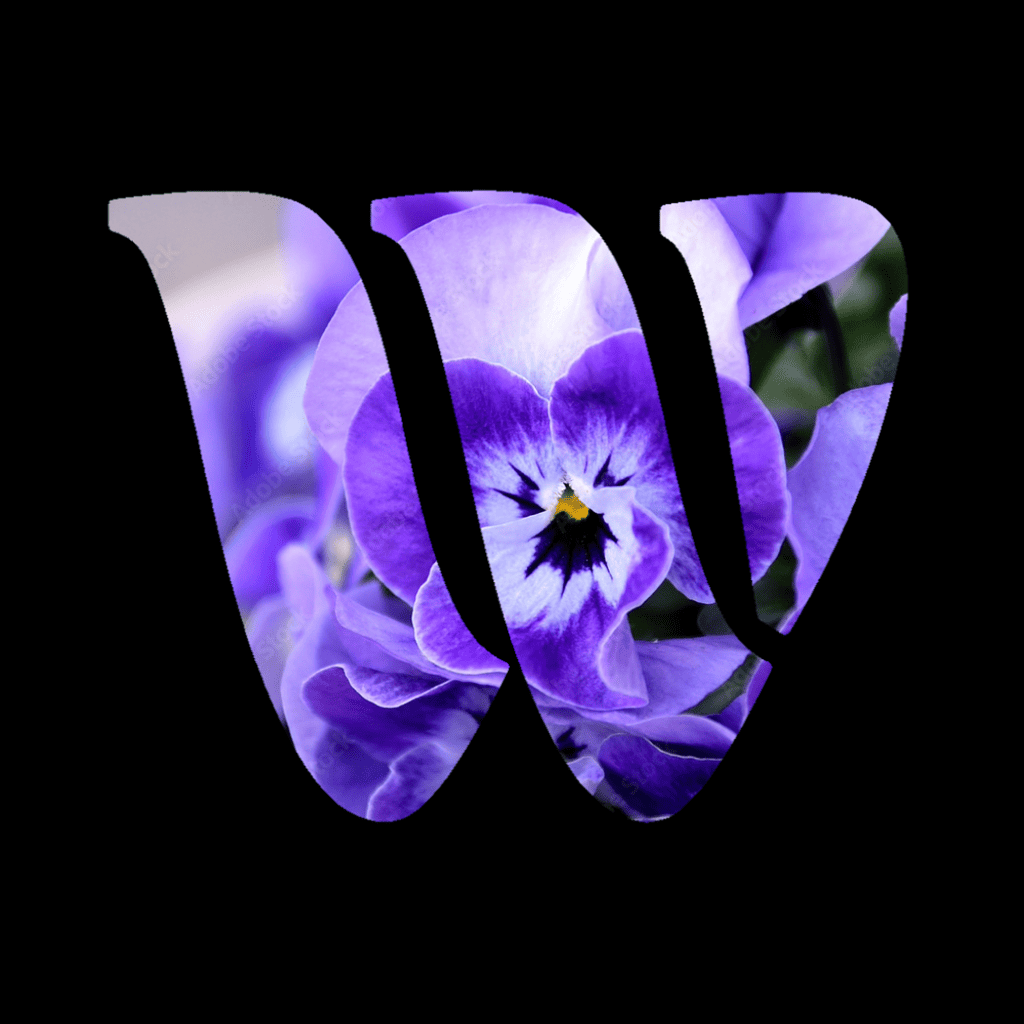 The Doux 50ml Home Fragrance Oil - Image 5