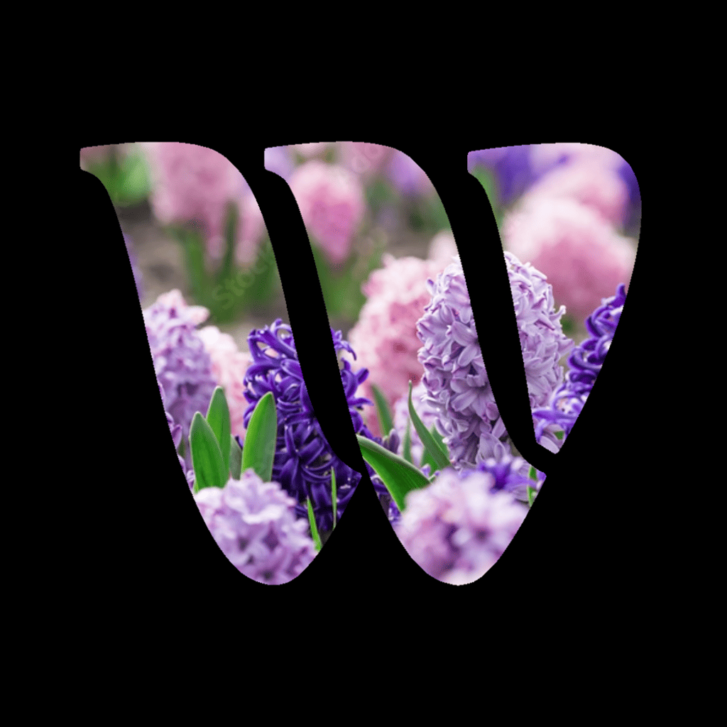 Hyacinth