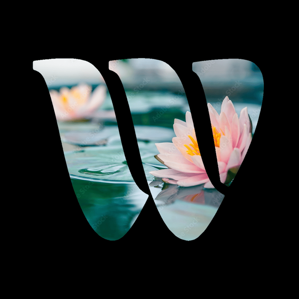 Lotus Flower