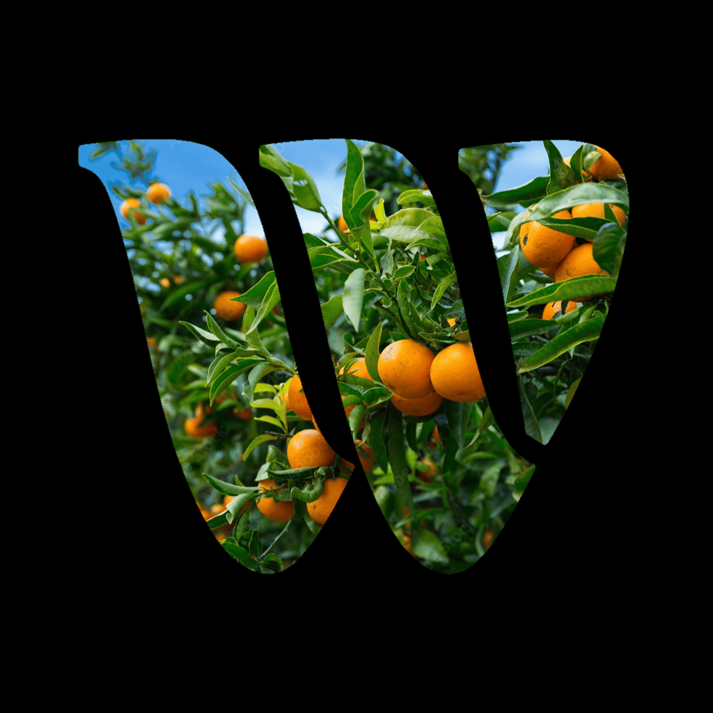Mandarin
