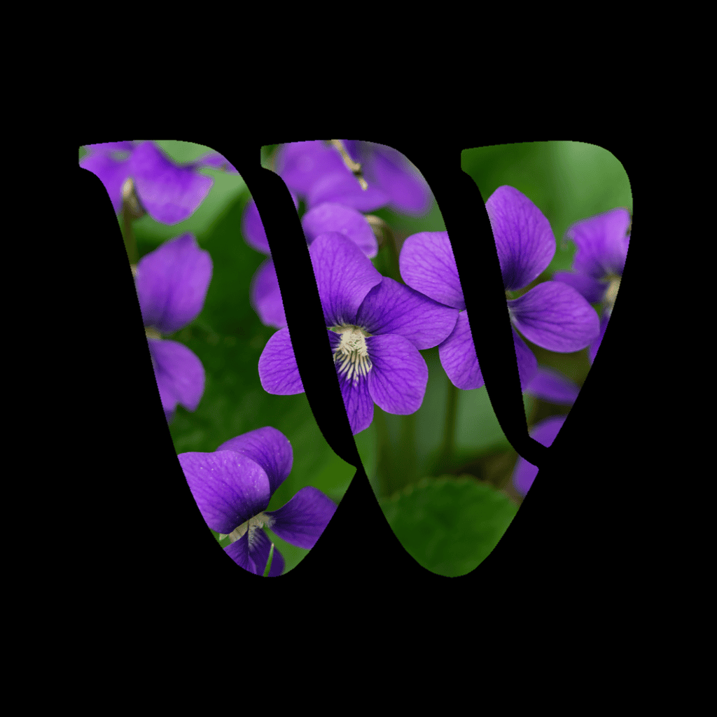Violet
