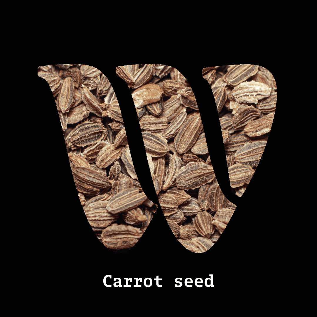 Carrot seed note