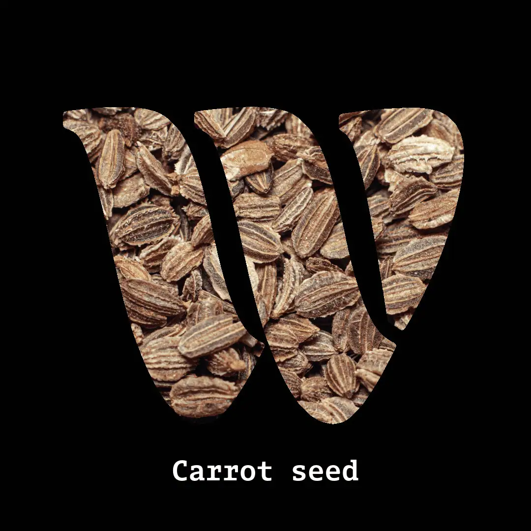 Carrot seed note
