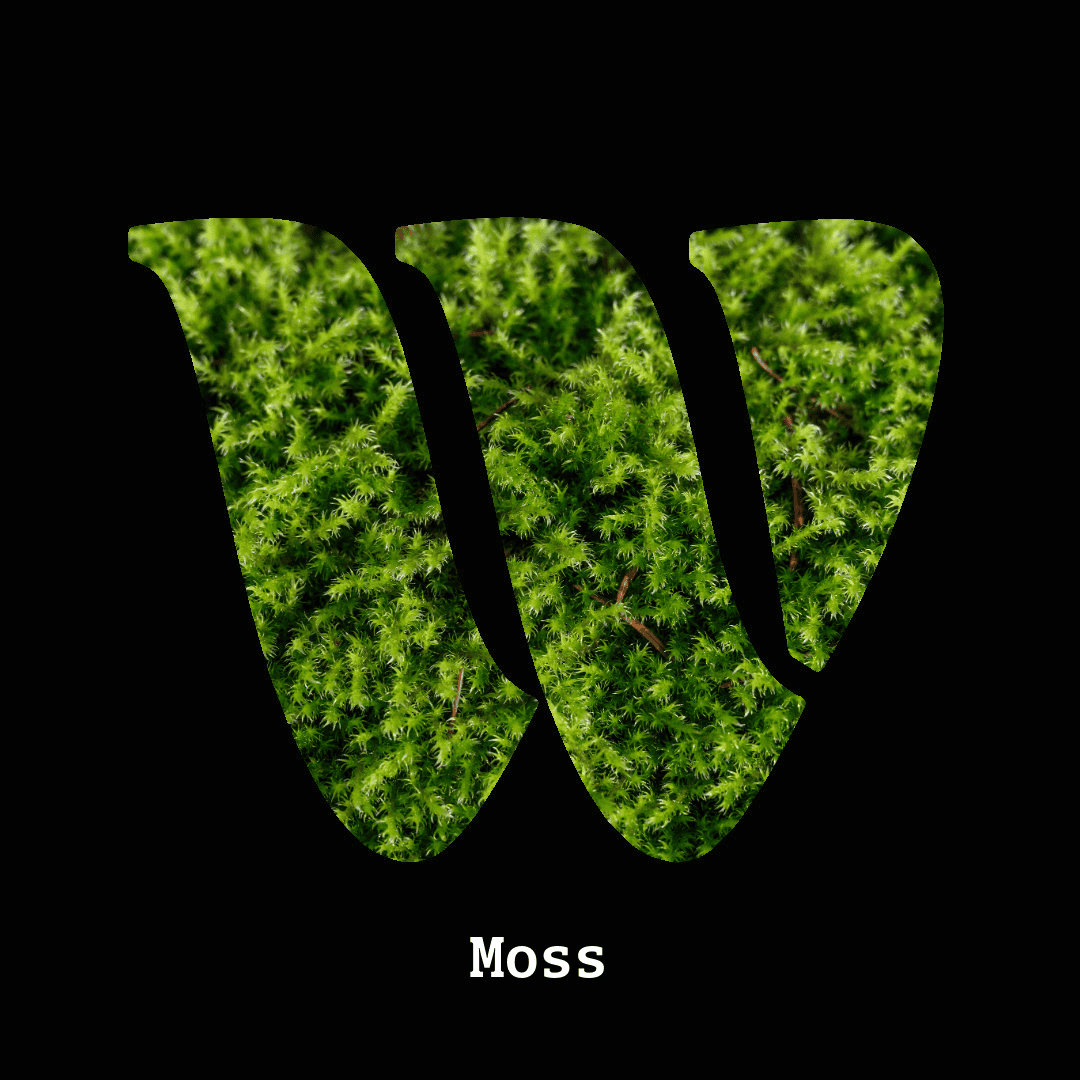Moss note
