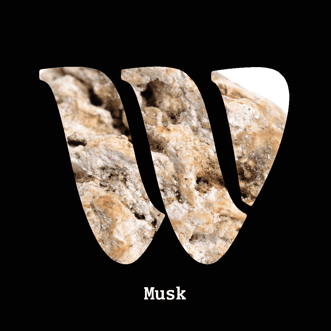 Musk note