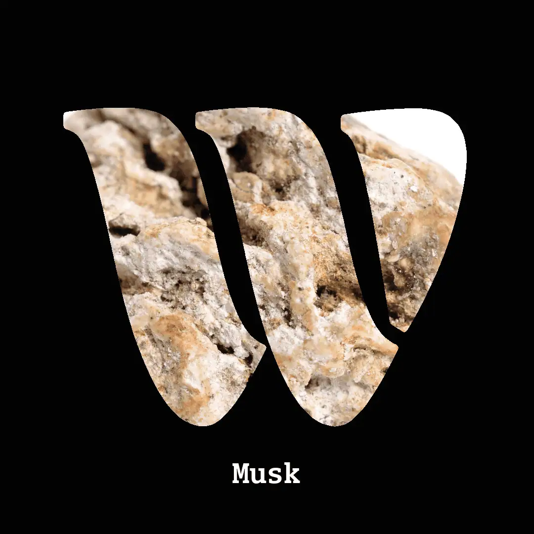 Musk note