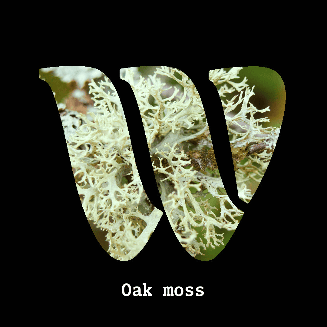 Oakmoss note