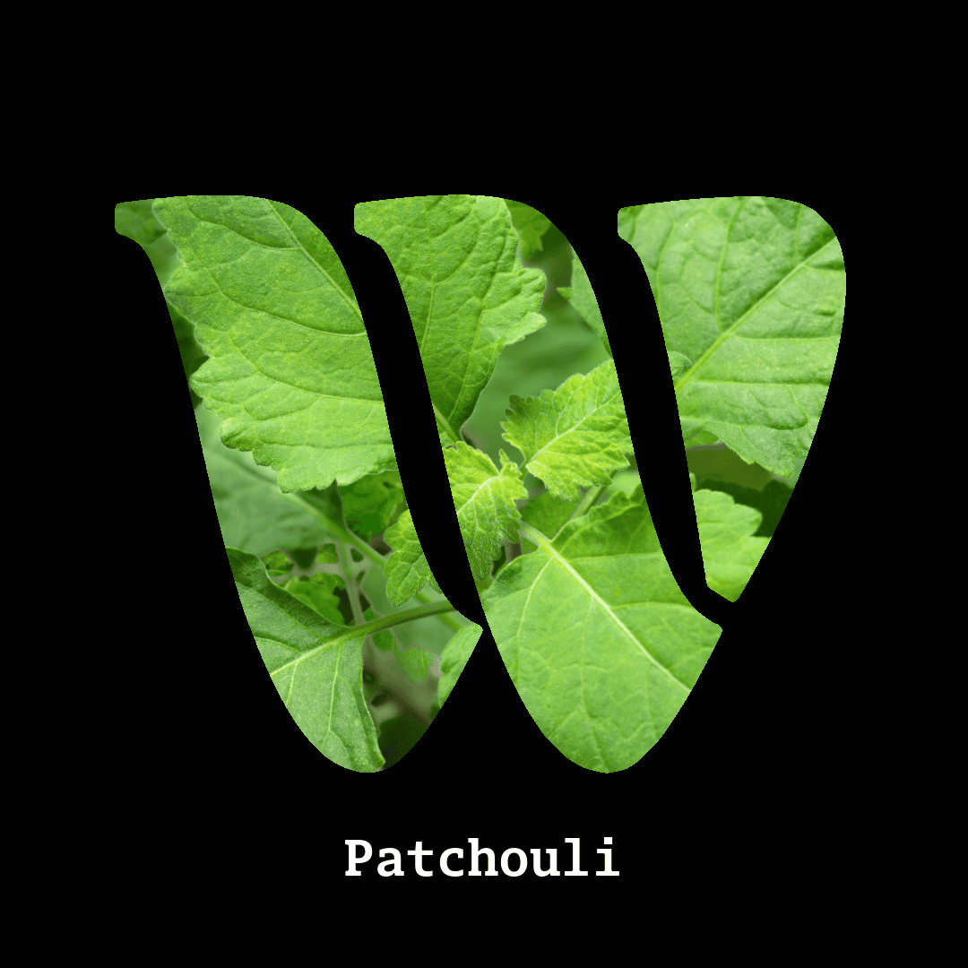 Patchouli note