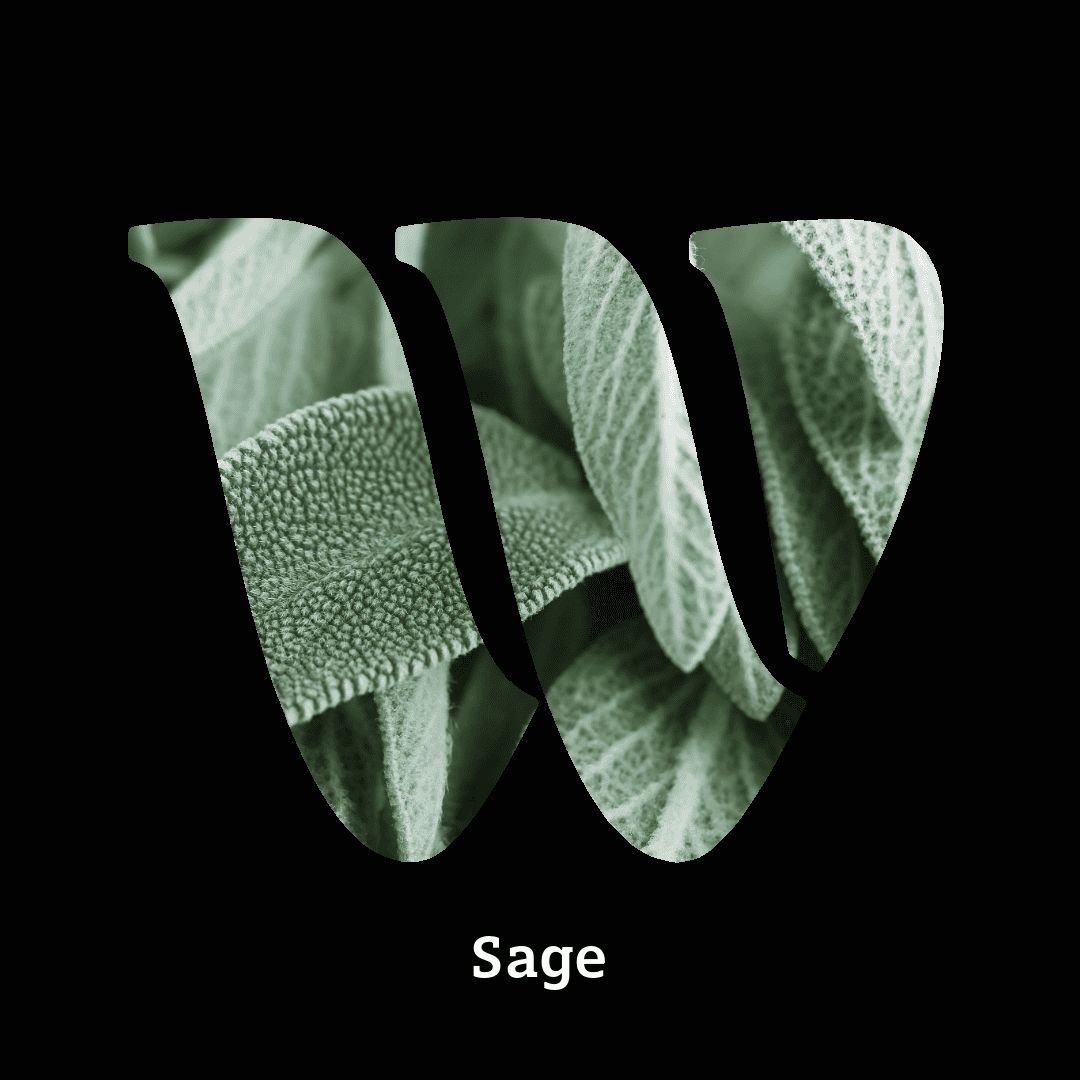 Sage note