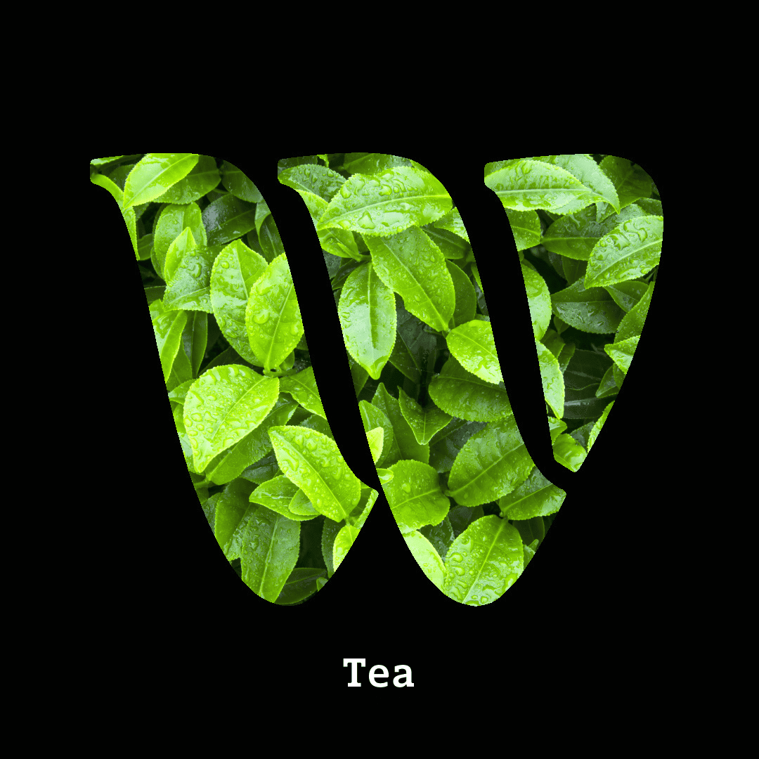 Green tea note