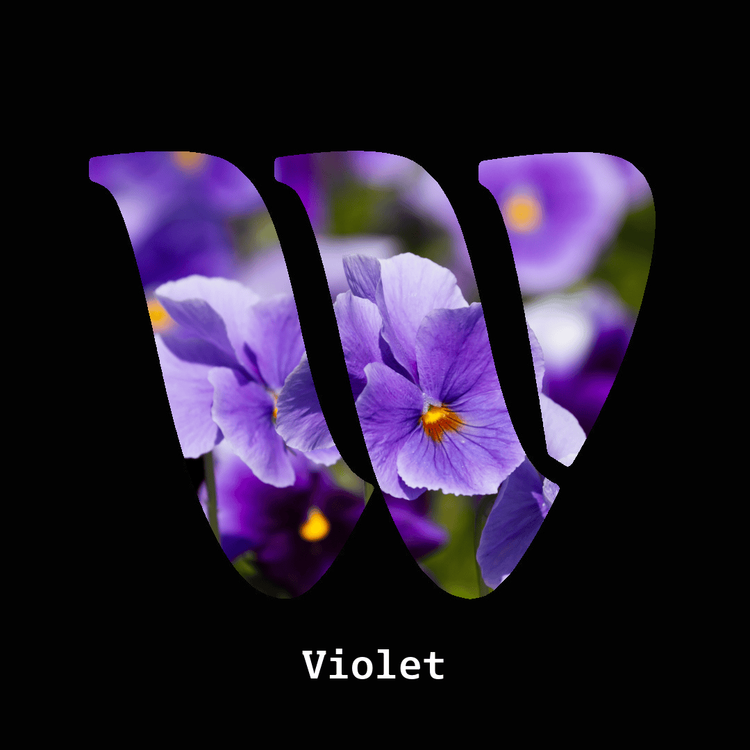 Violet note