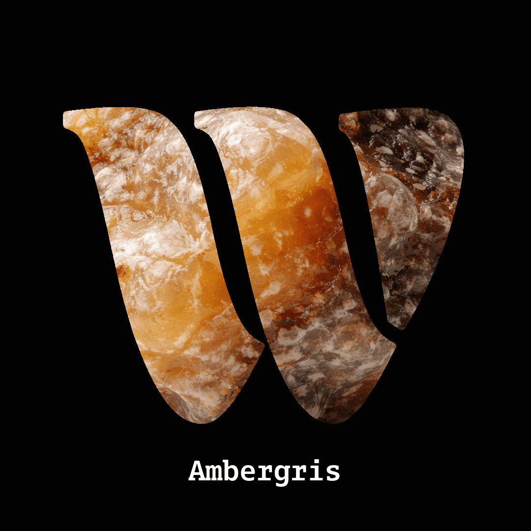 Ambergris note