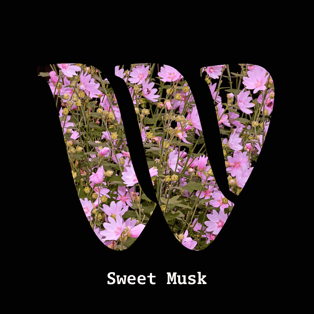 Sweet musk