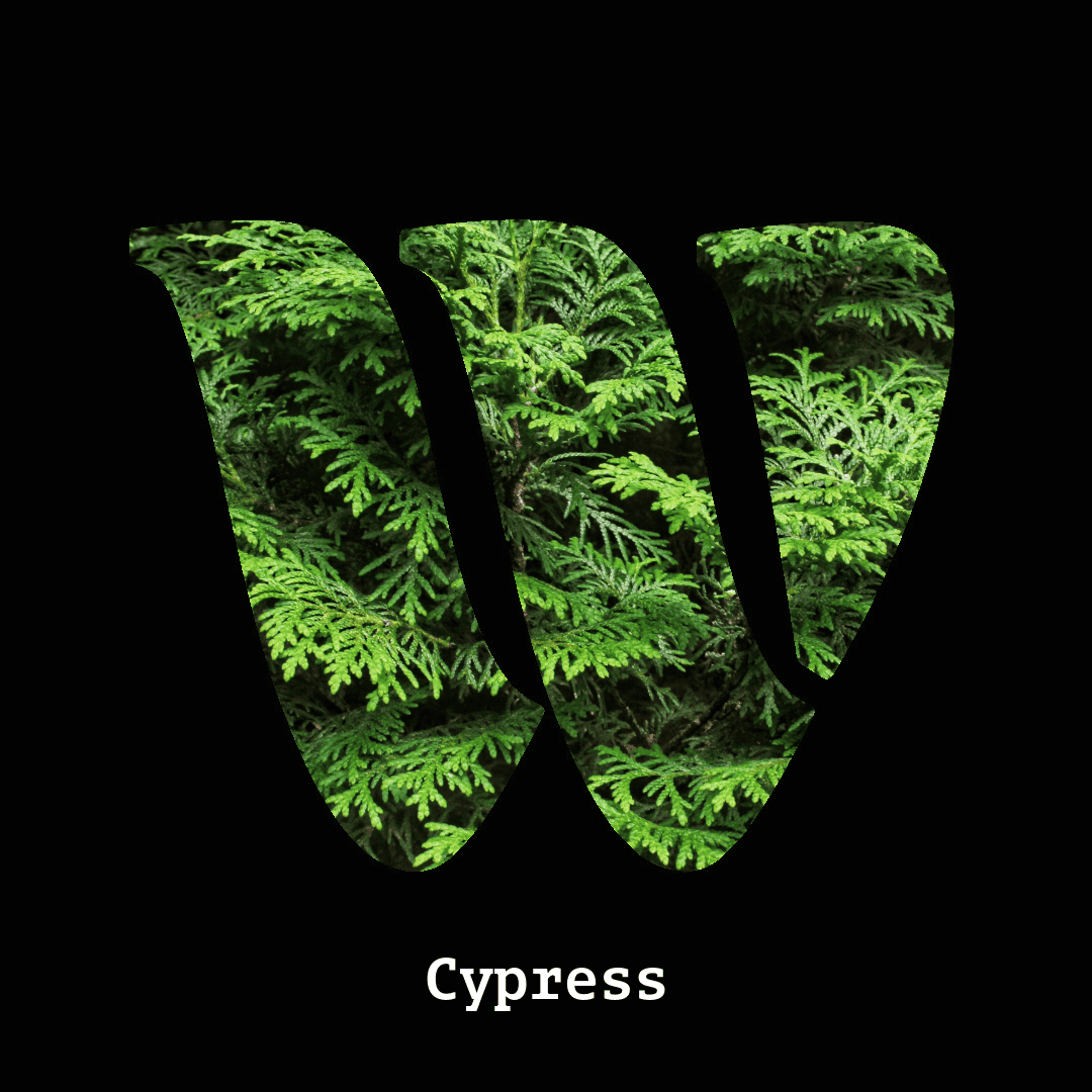 Cypress note