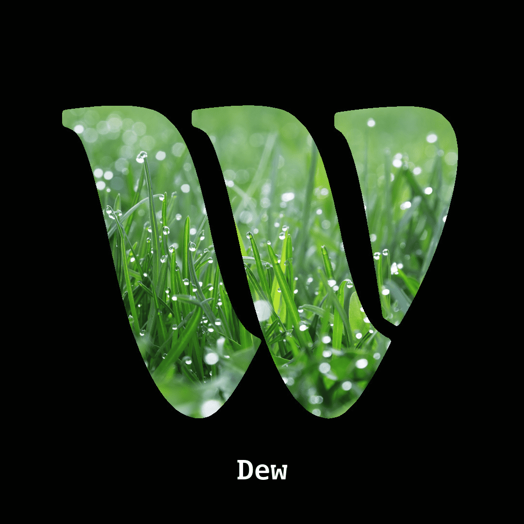 Dew note
