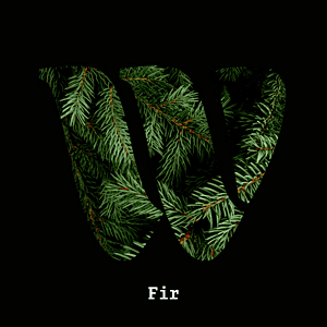 Fir diffuser oil