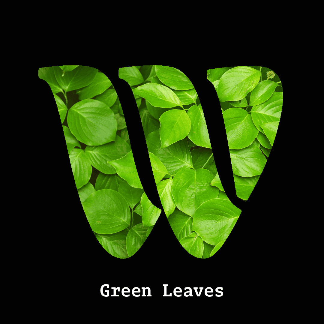 Green leaves note