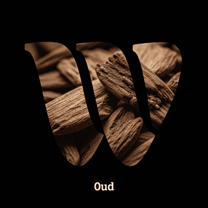 Oud diffuser oil