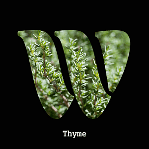 Thyme diffuser oil