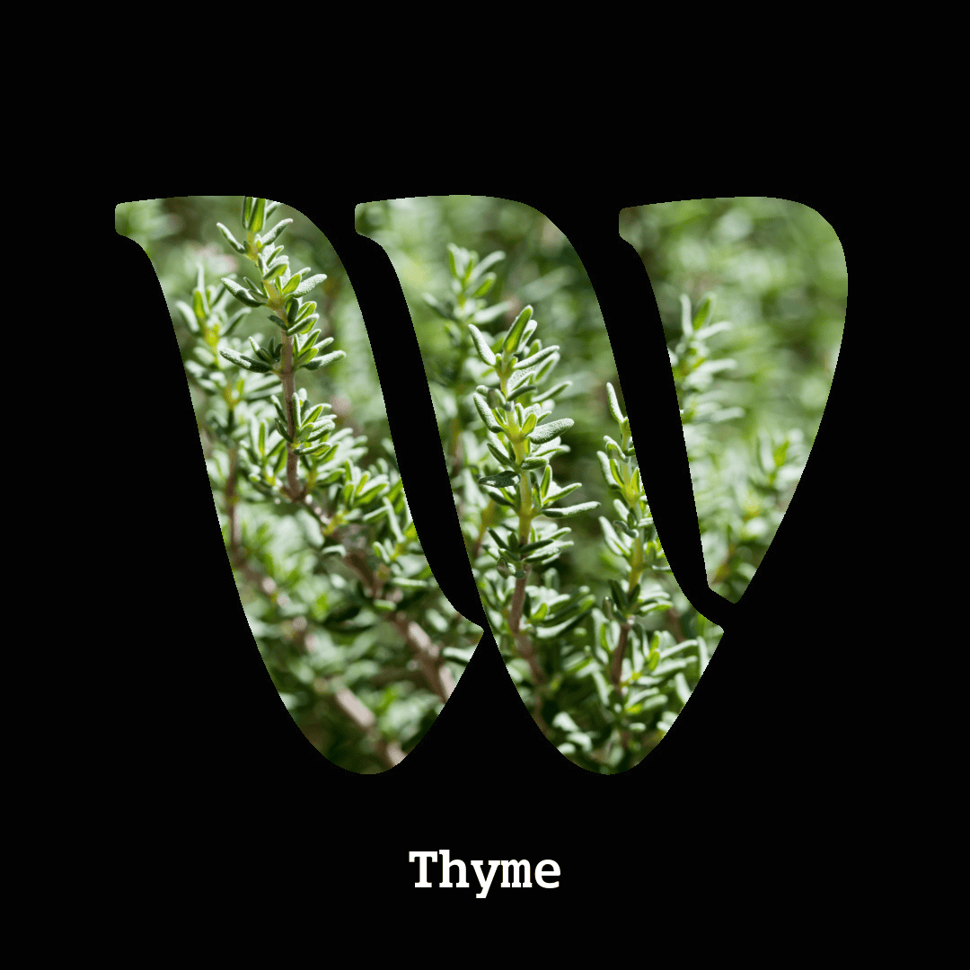 Thyme note