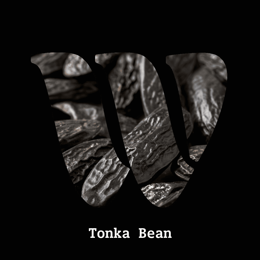 Tonka bean note