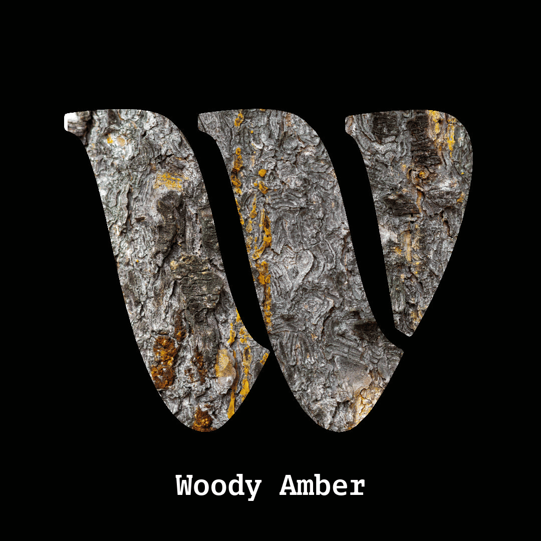 Woody amber note