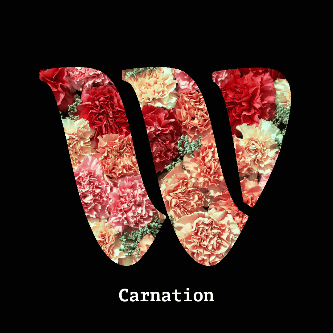 Carnation note