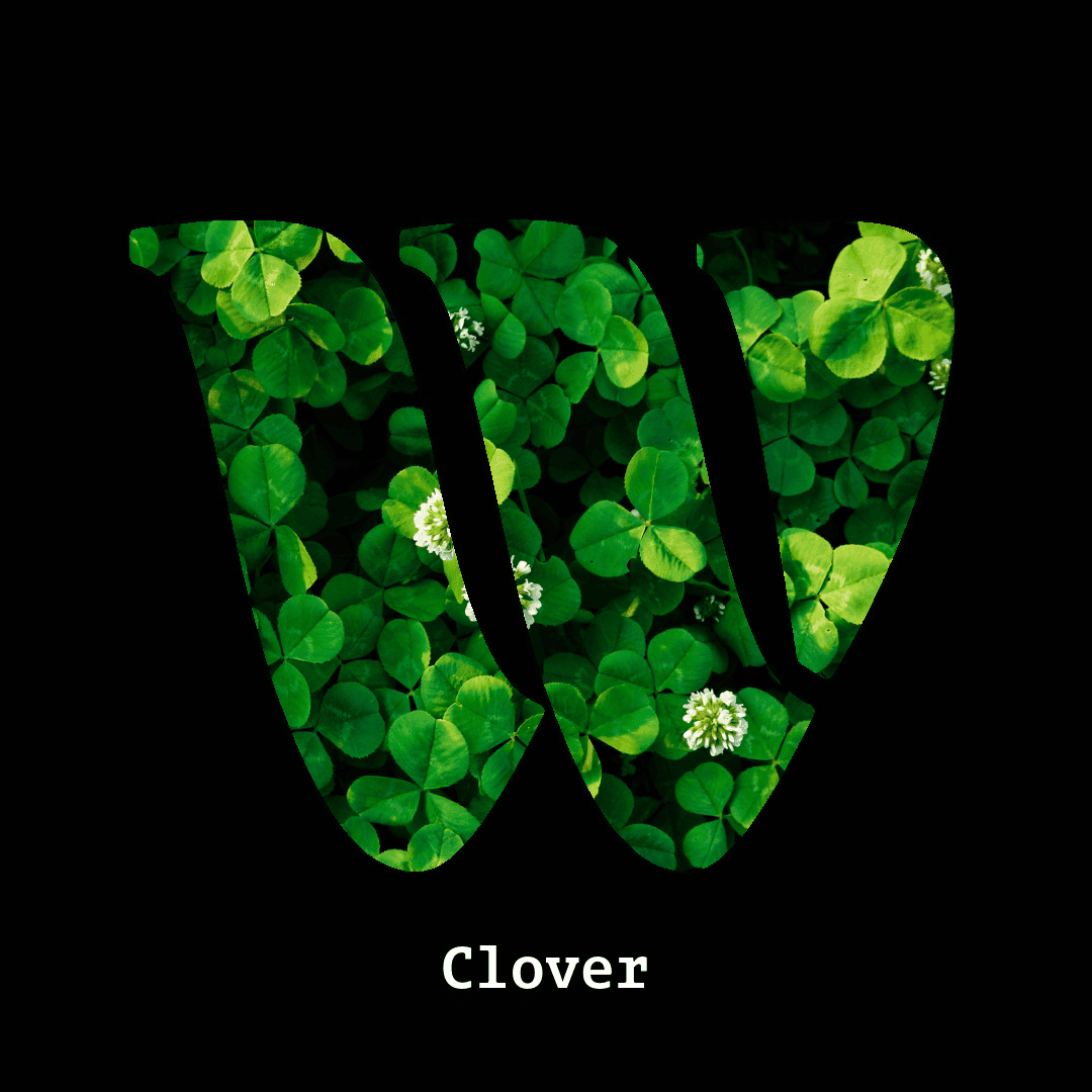 Clover note