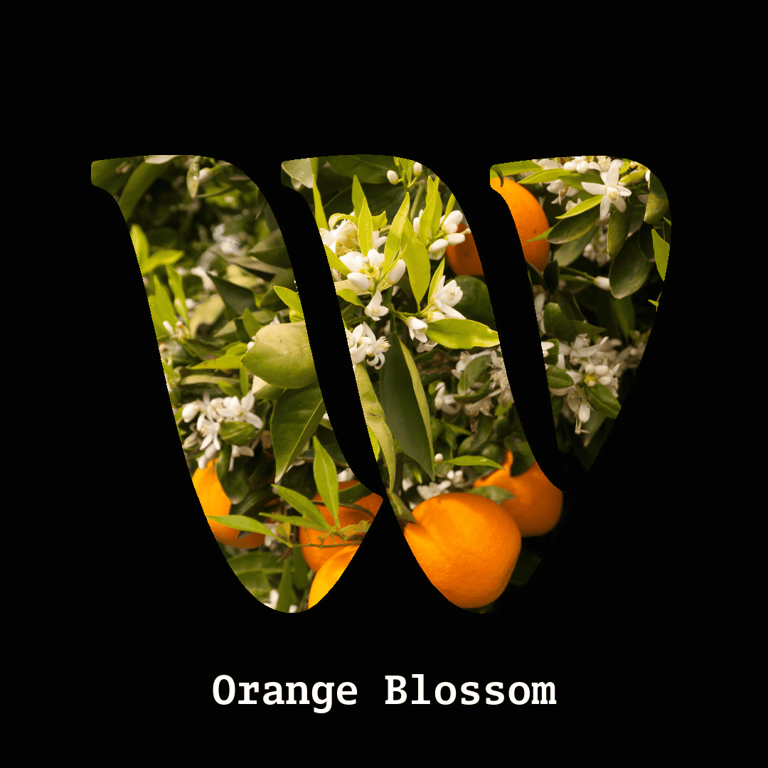 Orange flower note