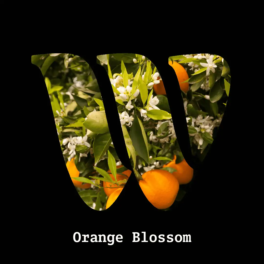 Orange flower note