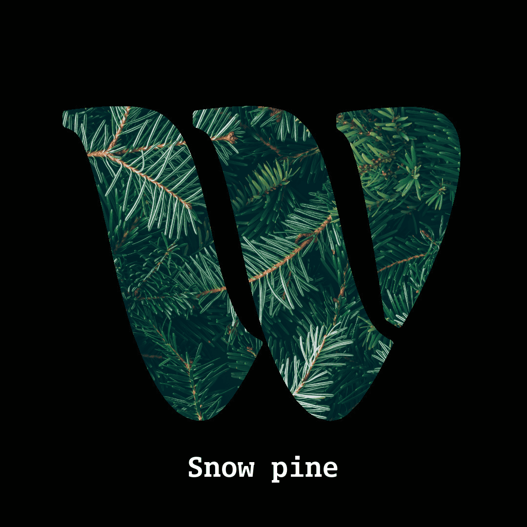 Snow pine note