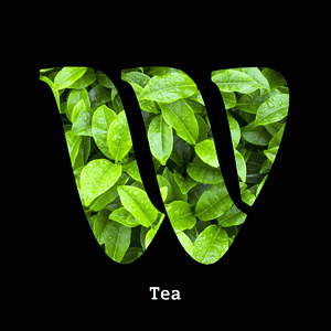 Tea diffuser oil